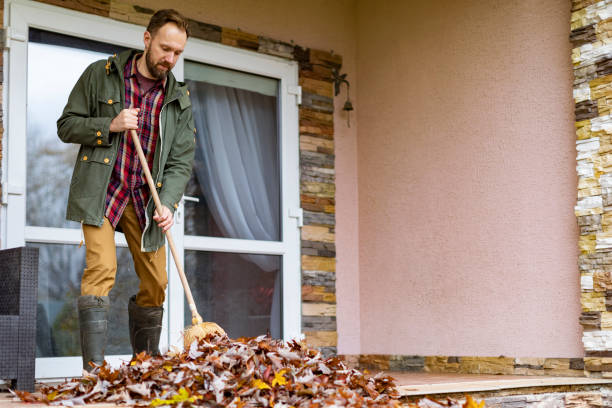 Best Appliance Removal Near Me  in Johnson City, NY